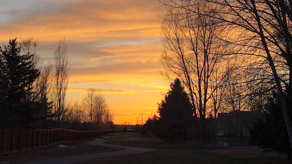 Sunset with shades of orange with trees 