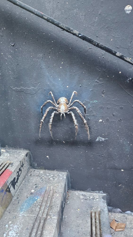 Cette photo montre une œuvre de Street Art représentant une araignée très réaliste et détaillée.

Elle est au centre de la composition. Elle a l'air menaçante et presque tridimensionnelle, comme si elle était sur le point de sortir du mur.   

L'œuvre est peinte sur un mur d'escalier couleur gris foncé. Cette couleur sombre fait ressortir l'araignée qui a des tons plus clairs (argentés, bruns clairs). 

La partie inférieure de l'image montre des marches d'escalier en béton très brutes et recouvertes de graffitis et de saleté, ce qui ancre l'œuvre dans un contexte urbain et dégradé.
 