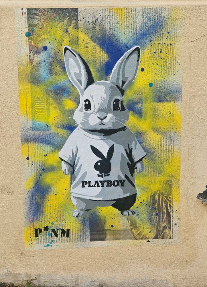 On y voit un lapin anthropomorphique, debout, portant un t-shirt gris avec le célèbre logo du magazine Playboy — une tête de lapin avec un nœud papillon — accompagné du mot « PLAYBOY » en dessous.