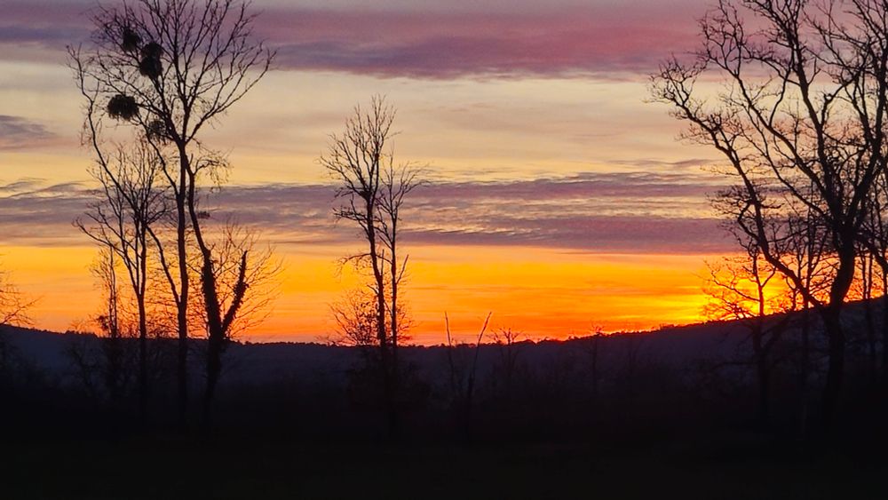 Cette photo montre un paysage au coucher du soleil, avec un ciel flamboyant où se mêlent des teintes de jaune, d’orange, de rose et de violet. 

Au premier plan, des arbres dénudés se découpent en silhouettes noires sur la lumière vive de l’horizon. 

À l’arrière-plan, on distingue des collines sombres qui accentuent encore le jeu d’ombres et de lumières.
