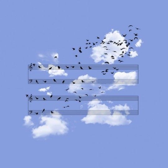 Des oiseaux posés sur une portée de musique dans le ciel s'envolent.