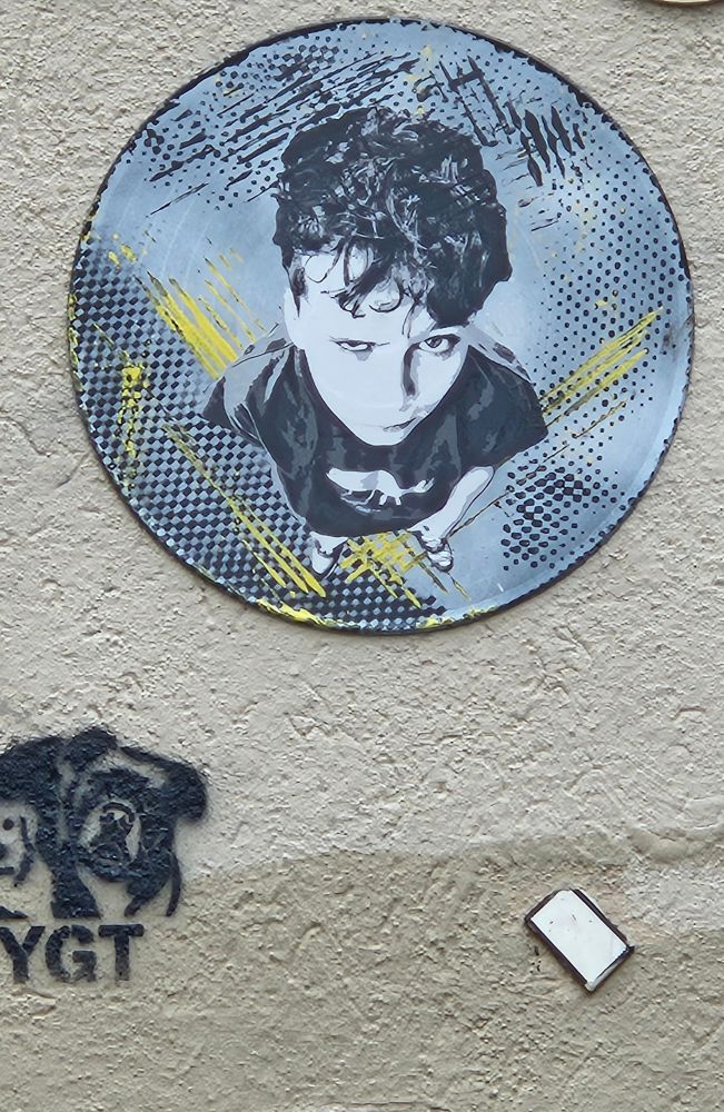 L’œuvre de street art, sur un mur à la texture rugueuse, représente un portrait stylisé d’un jeune garçon vu en plongée. 

Le visage est peint en tons de gris et de blanc donnant une impression à la fois réaliste et graphique. Il un air effronté et les cheveux noirs bouclés.

Il a les cheveux bruns bouclés et un air effronté.

Le fond circulaire est composé de motifs à pois et de traits dynamiques jaunes et noirs, qui ajoutent du mouvement et de l’énergie à la composition.