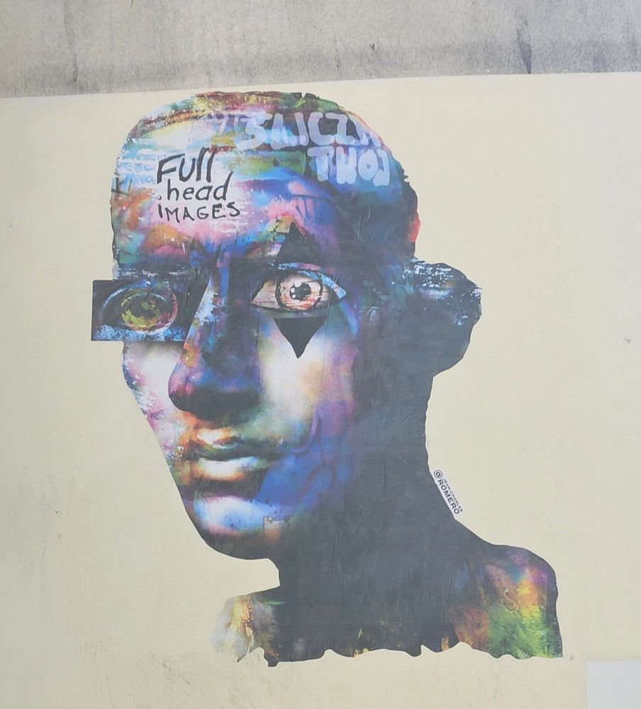 Il s’agit d’une œuvre de street art représentant une tête humaine stylisée, réalisée d’impression collée sur un mur. 

Le visage est composé d’un mélange de couleurs vives et contrastées — bleu, violet, jaune, vert — créant un effet presque psychédélique. 

Les traits sont réalistes mais volontairement déformés : un œil est remplacé par un rectangle contenant une image circulaire, tandis que l’autre œil est accentué par un triangle noir sous la paupière.

Sur le haut du crâne, on peut lire des inscriptions peintes, notamment « Full head images ». 