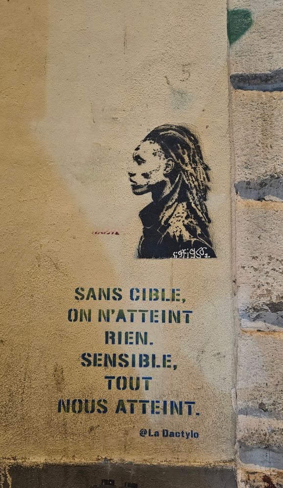 Le pochoir montre le profil d’une personne, réalisé en noir et blanc. Le style est simple mais expressif : on distingue le visage de côté et de longues dreadlocks tombant vers l’arrière. 

En dessous du portrait se trouve un texte en lettres capitales, peint au pochoir en bleu foncé et vert :
« SANS CIBLE,
ON N’ATTEINT
RIEN.
SENSIBLE,
TOUT
NOUS ATTEINT. »