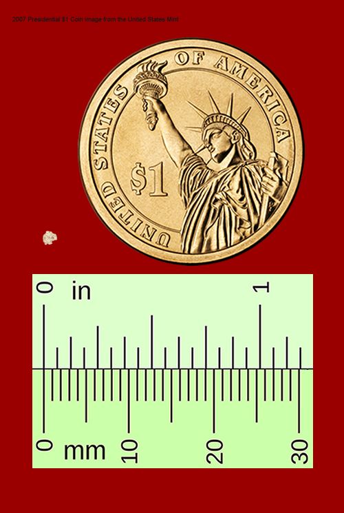 A tiny bread crumb shown next to a US dollar coin and a ruler. The crumb is roughly 2mm by 2mm, itsy bitsy and enough to screw up a person with celiac for several weeks, or land them in a hospital. We aren't joking about the risks of cross-contamination.