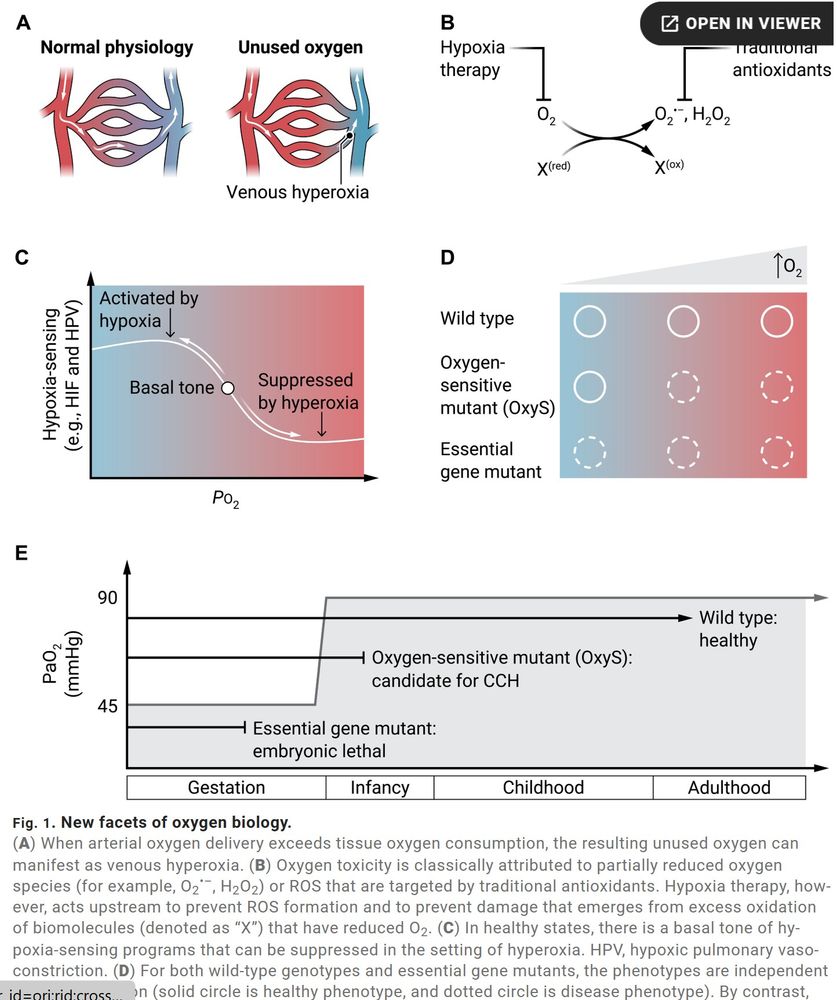 Rogers and Mootha, Hypoxia as medicine