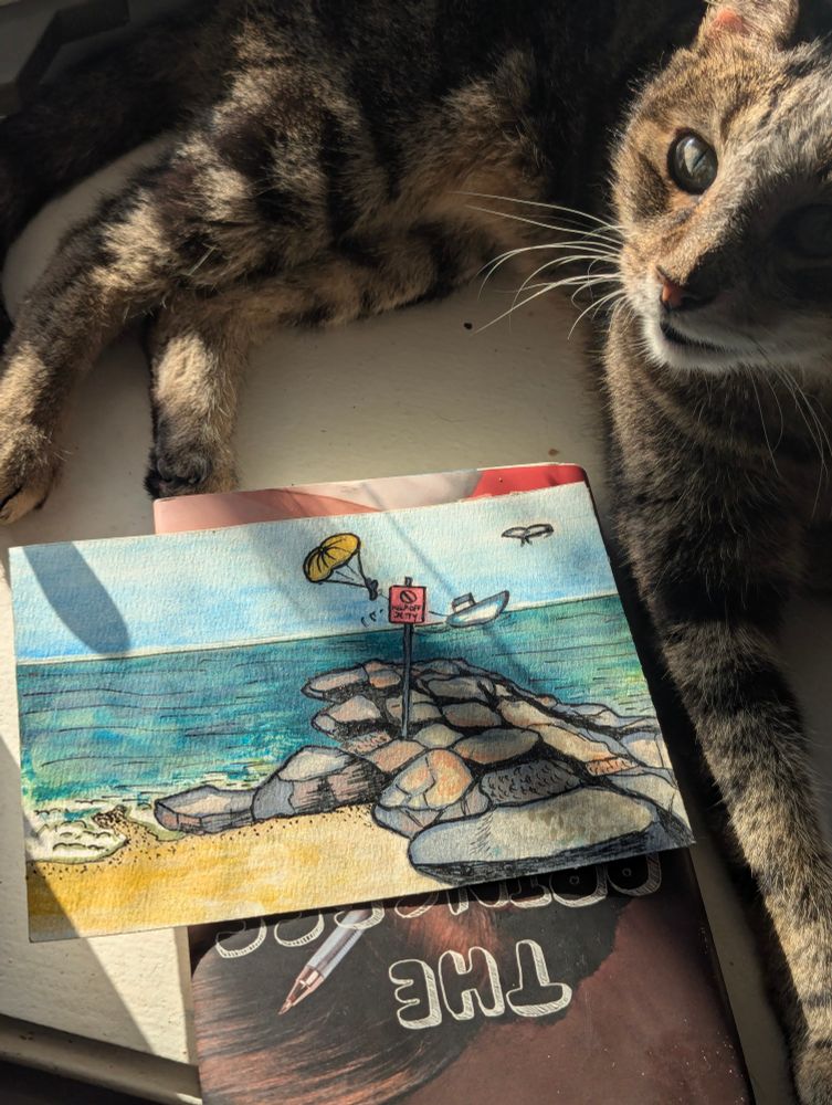 A watercolor painting of a beach with a rock jetty and it's next to a brown cat.