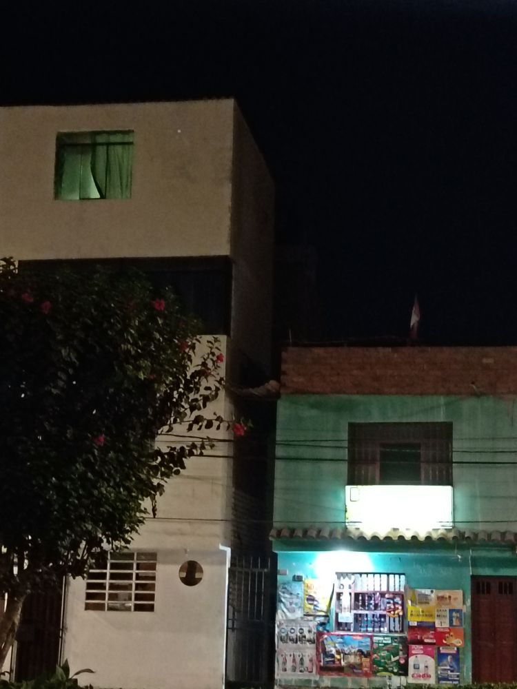On the left is a taller white building with a tree in front and a window with green curtains illuminated. On the right is a, two storey Bodega in turquoise shades with a  multicoloured mural on the lower half and a rectangle of illumination. 