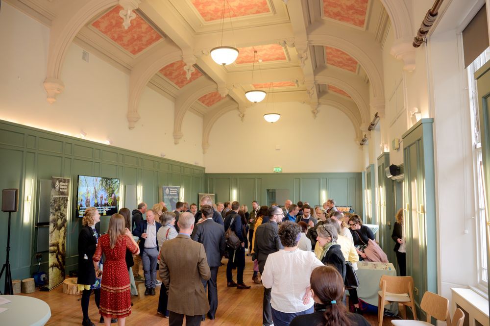 A room full of people gathered to discuss Scotland's rainforest