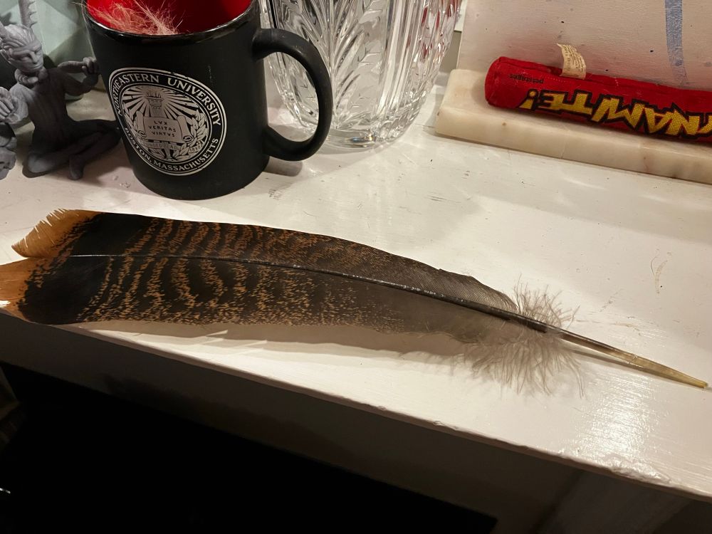 An interior photo of a fireplace mantle with a large turkey feather laid from left to right. The mantlepiece is white, and a coffee mug & figurine of Cernunnos can be seen to the left. 