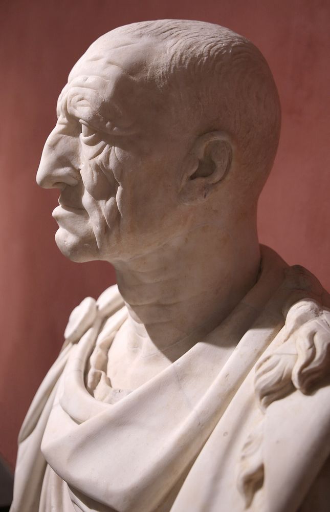 A marble bust showing the left profile of Cato the Elder. He has a honkin big nose