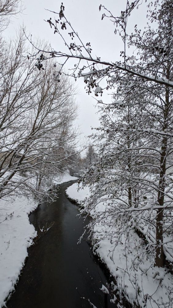 Verschneite Naturlandschaft mit einem kleinen Fluss, der neben dem Schnee fast schwarz erscheint. Auf beiden Seiten des Ufers sieht man viele verschneite Baumäste.