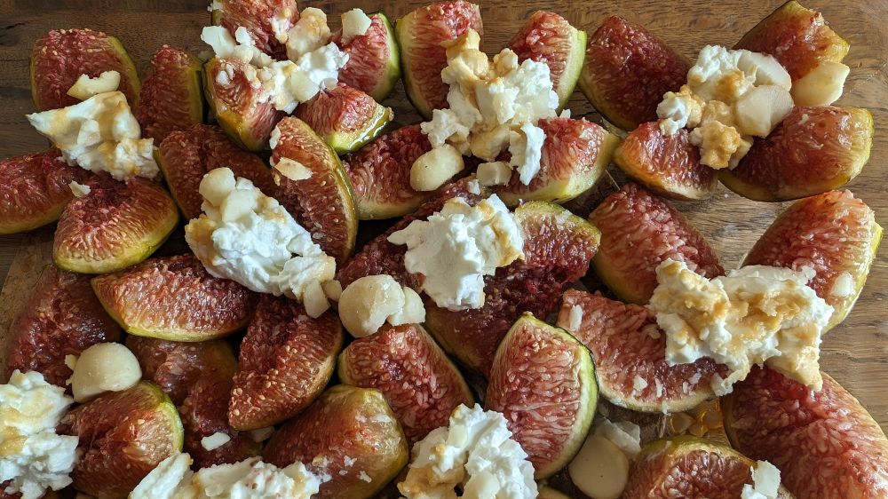 Aufgeschnittene Feigen mit Geissenkäse, Nüssen und Honig überbacken.