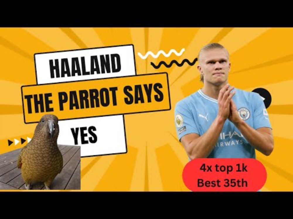 Haaland, the forgotten man of FPL