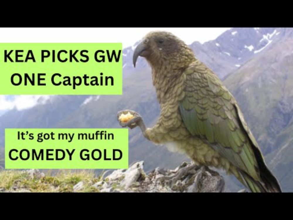 FPL Interview with rare parrot goes badly wrong