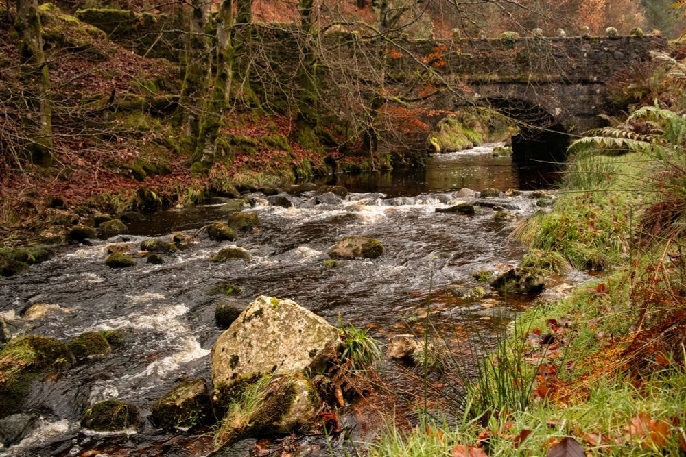 A river through a forest looking up towards an old stone bridge.