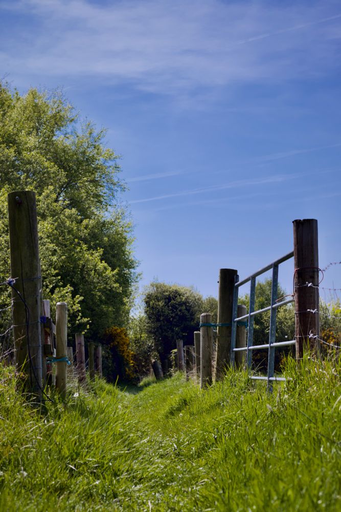A grassy, slightly overgrown path between two fields. Some trees on the left and the gate to a field on the right. The path leads away into the distance. A pale blue sky above.