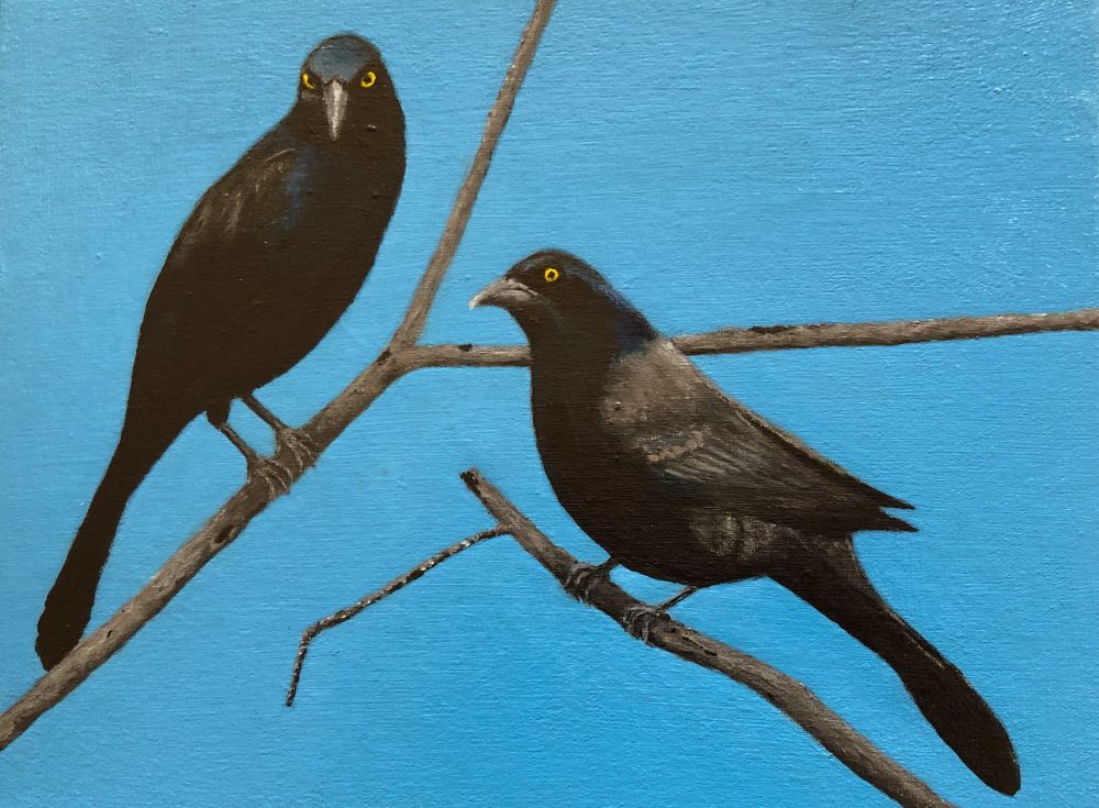 Common Grackle Peinture d’oiseau Bird Painting