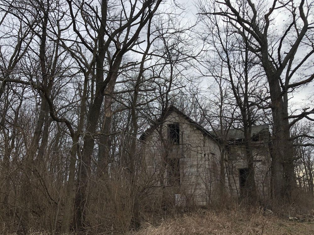 Abandoned house in the woods