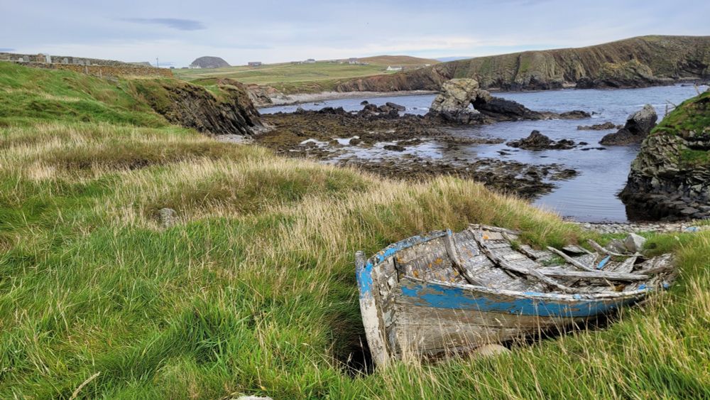 Colour photo of a decaying blue and white wooden boat hauled up into a noust (a place for storing boats above the tide line) in long grass above a rocky bay on the island of Fair Isle.