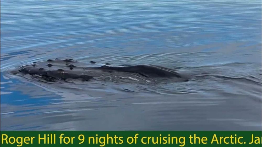 Roger Hill Antarctica Trip Promo