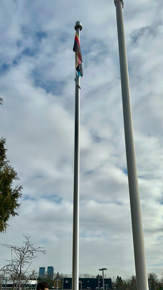 Disability pride flag on a flagpole with sky and clouds in the background