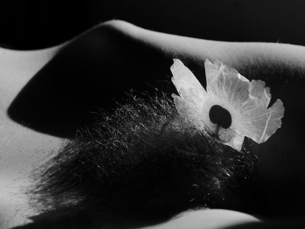 an abstract monochrome bodyscape of a woman's torso with a transparent flower. Like a sandy mountainous landscape.