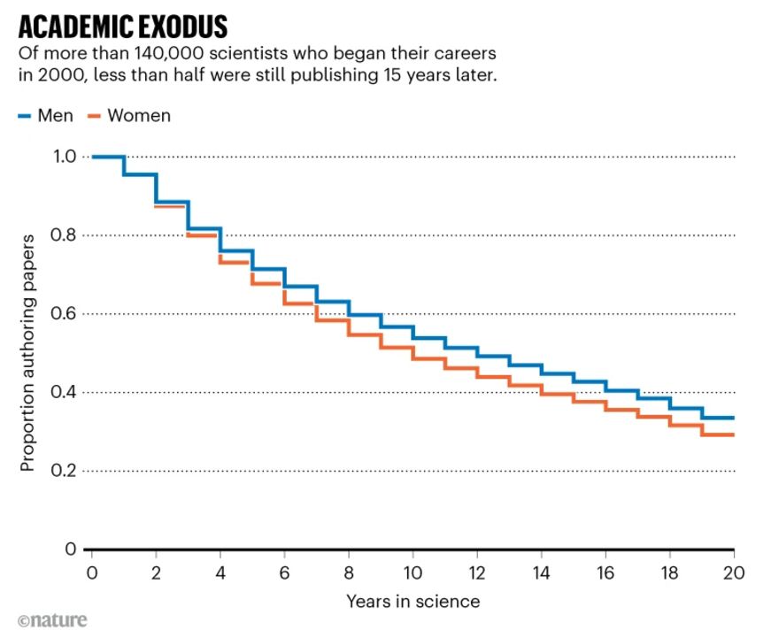 "The study found that, within five years, one-third of all scientists in the 2000 group had stopped publishing. This rose to about half within ten years and to nearly two-thirds by 2019. Women were around 12% more likely than men to have left science after five or ten years. By 2019, only 29% of women in the group were still publishing, compared with nearly 34% of men."