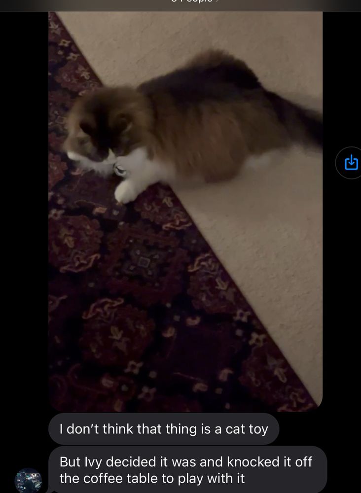 A text thread. A video is sent showing my cat sitting with my wheatley(portal 2) keychain between her front paws. The following texts read 
“I dont think that thing is a cat toy
But Ivy decided it was and knocked it off the coffee table to play with it”
