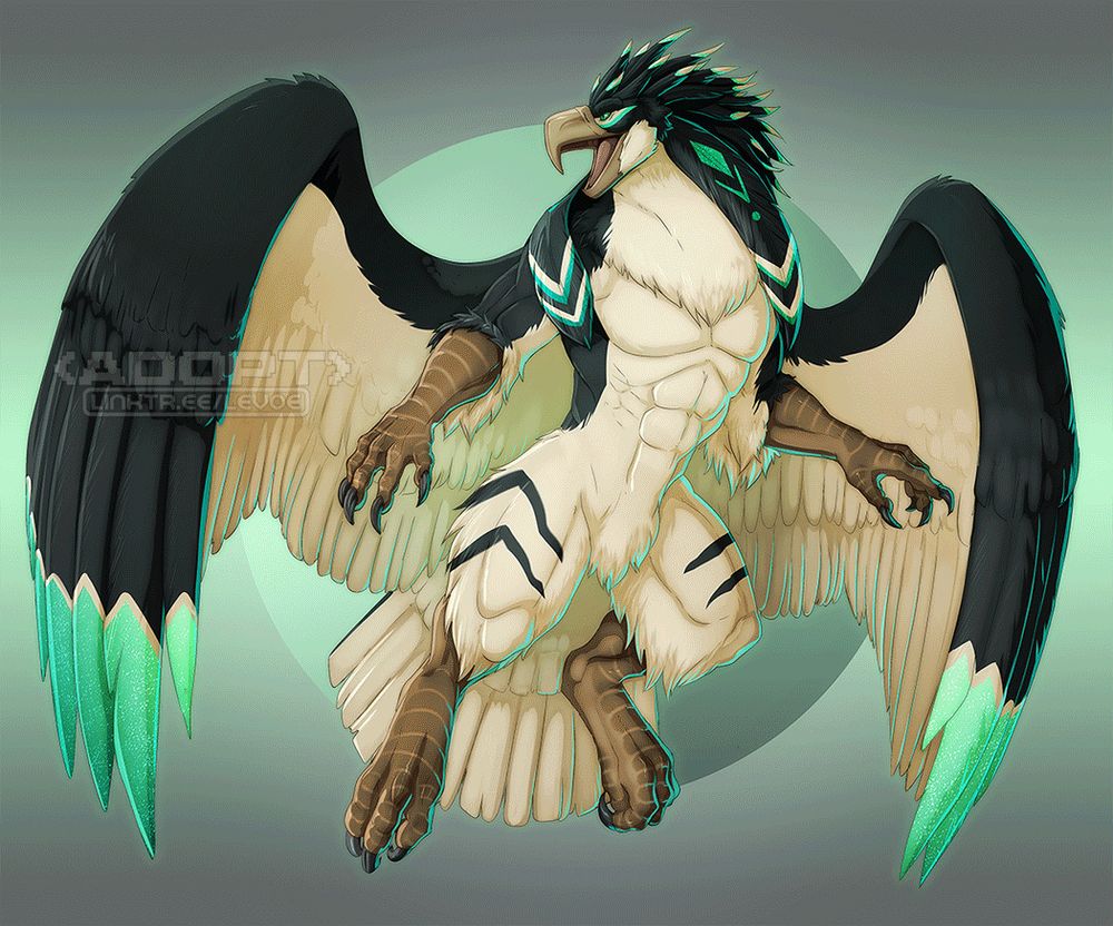 anthro bird falcon hawk eagle fantasy mythical creature furry art