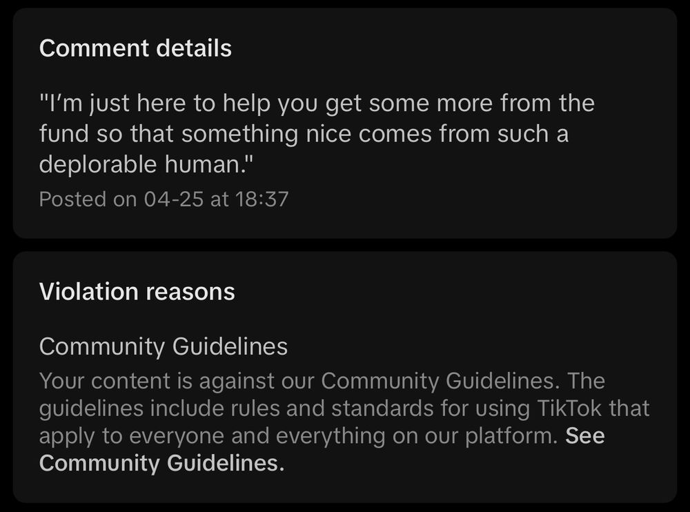 TikTok comment that says, “I’m just here to help you get some more from the fund so that something nice comes from such a deplorable human.”