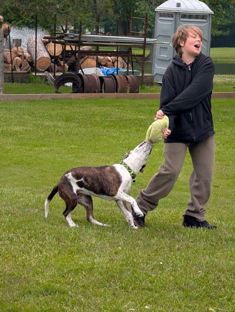 Grandsons, dog parks, and a ball! 