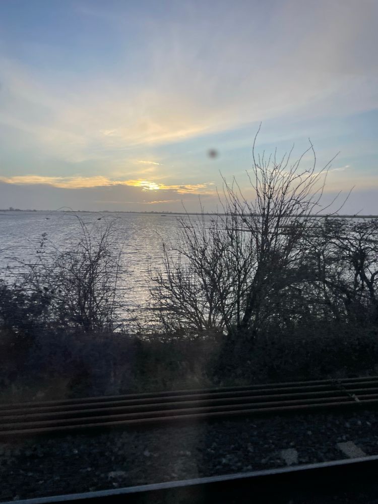 Flooded fenland landscape 