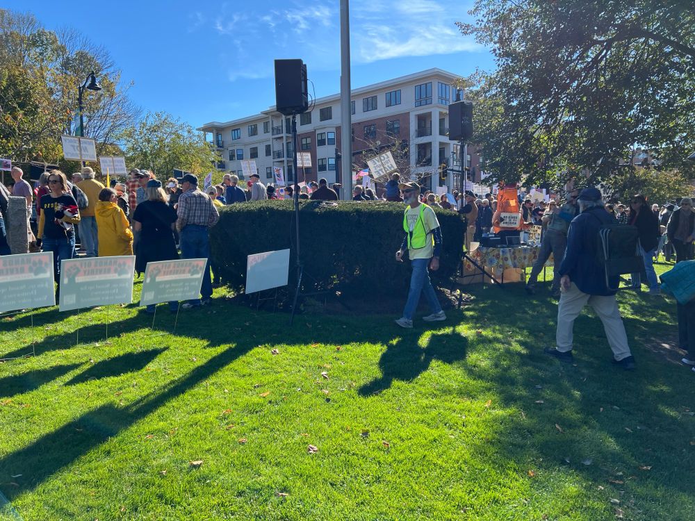 Protesters lining Rantoul Street for No Kings in Beverly, MA