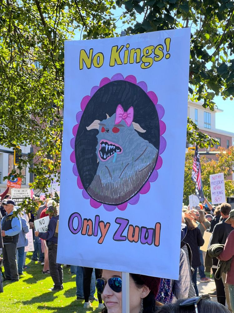 Protest sign saying “No Kings, Only Zulu”