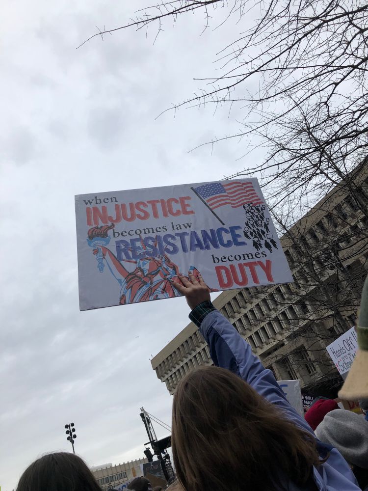 View of a person from the back, holding up a sign with an American flag and the Statue of Liberty. The sign reads “When injustice becomes law, resistance becomes duty.” In the background is a cloudy sky, tree branches, and the top of Boston City Hall.