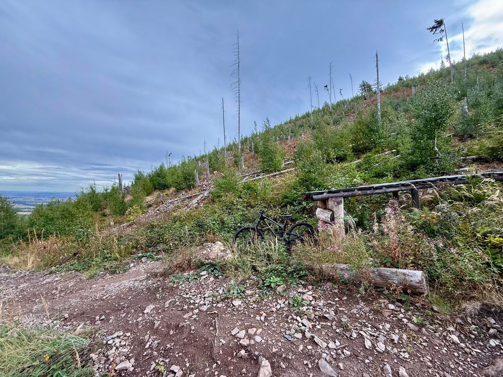 Blick auf einen Holzelement (Drop), über den der Trail führt. Zwischen der Rampe der Landung steht ein MTB als Größenvergleich