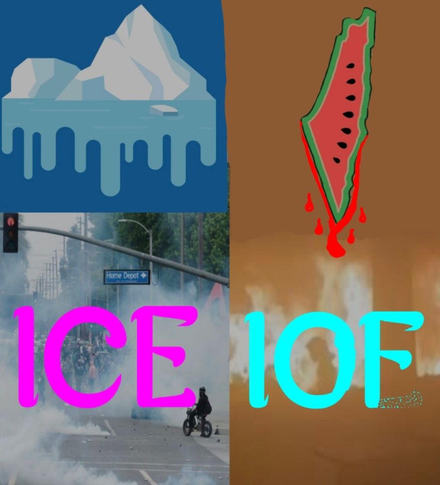 Drawing of a melting iceberg and a bloody Palestine.
Protest against ICE and a Palestinian girl surrounded by fire in Gaza with the text IOF. 