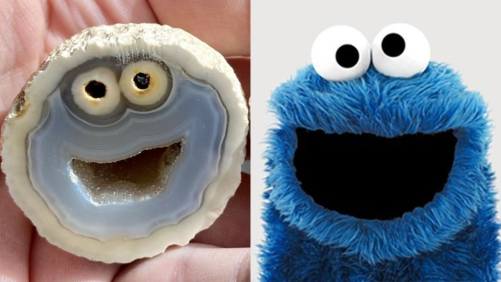 Mother Nature must be a fan of Sesame Street.