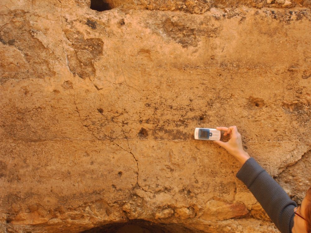 Una foto mía sujetando un ladrilDIGO UN TELÉFONO a modo de escala sobre un muro en tapial, no se ve bien, pero lo que intentamos es tener la escala de un graffiti naval