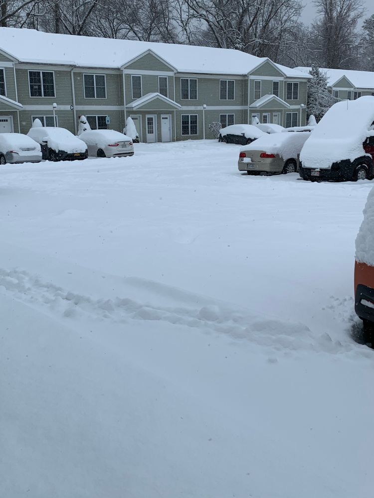 Snow day