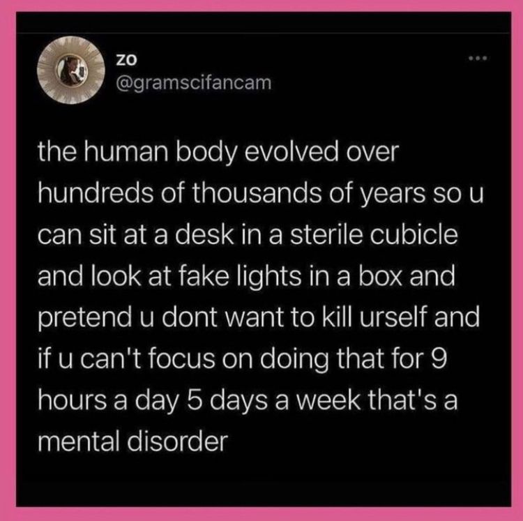 ZO @gramscifancam
the human body evolved over hundreds of thousands of years so u can sit at a desk in a sterile cubicle and look at fake lights in a box and pretend u dont want to kill urself and if u can't focus on doing that for 9 hours a day 5 days a week that's a mental disorder