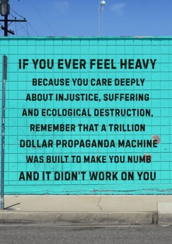 If you ever feel heavy because you care deeply about injustice suffering and ecological destruction remember that a trillion dollar propaganda machine was built to make you numb and it didn’t work on you 