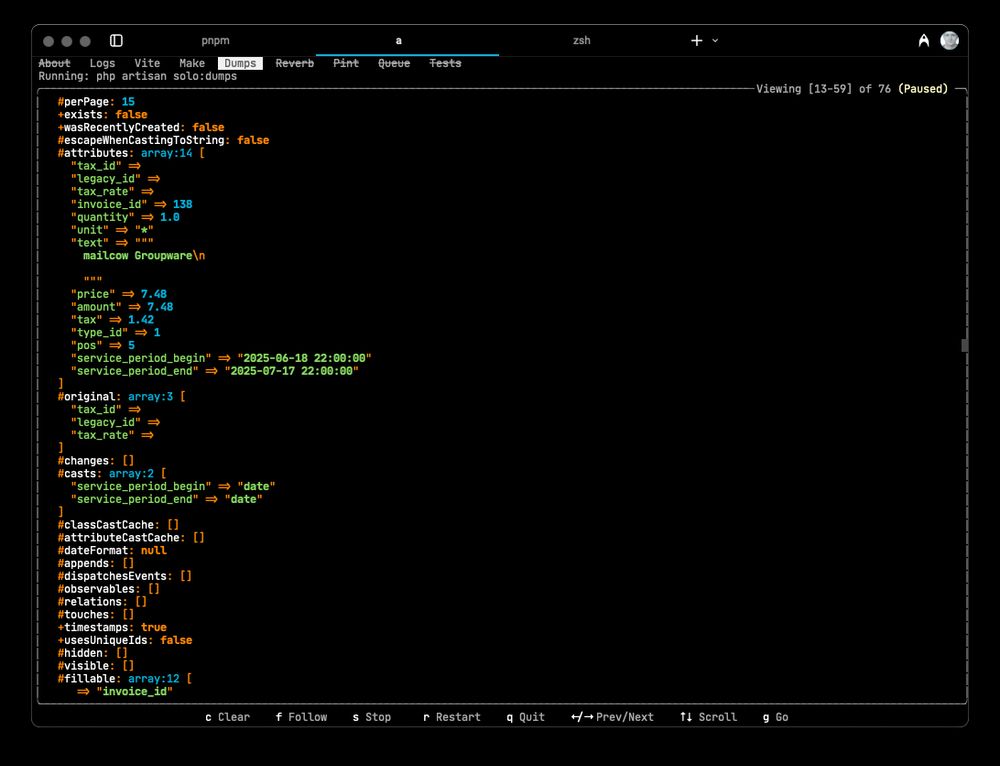 Dump des initialisierten Datensatz