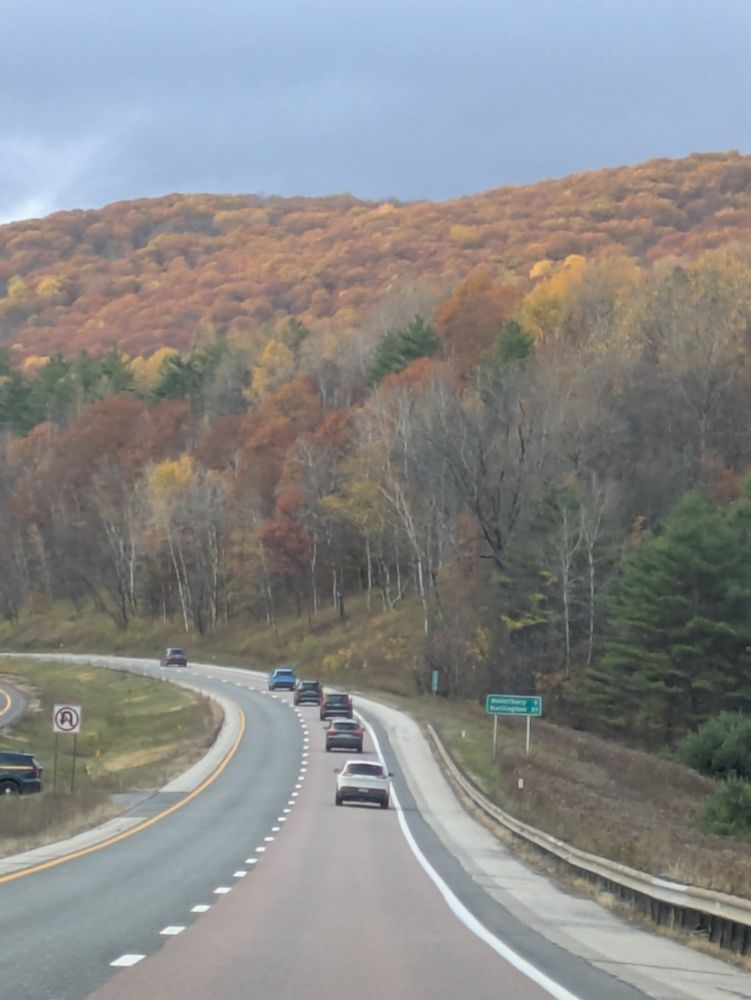 Fall leaves along the highway. 