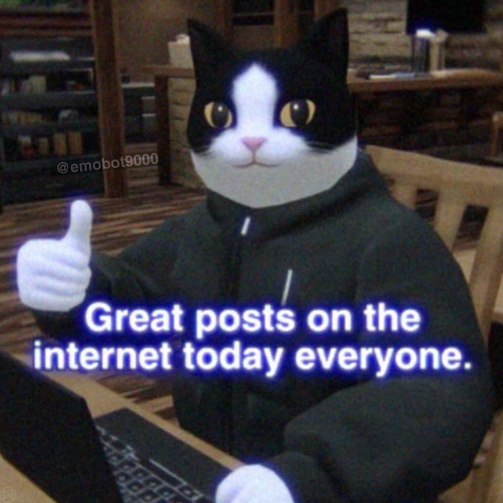 “great posts on the internet today everyone” says the thumbs up giving cat