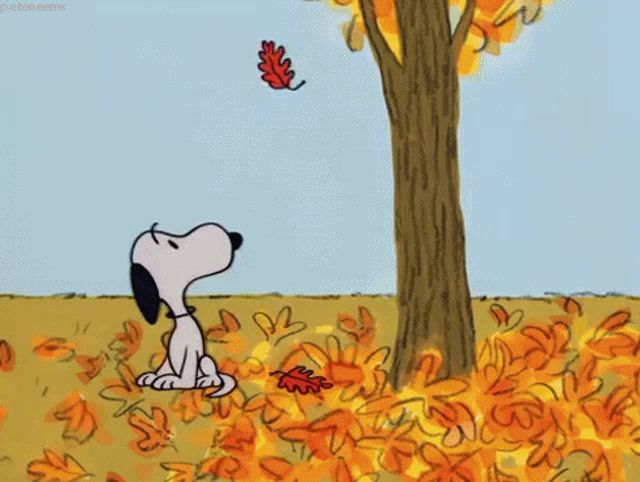 a cartoon of snoopy sitting under a tree with leaves falling around him