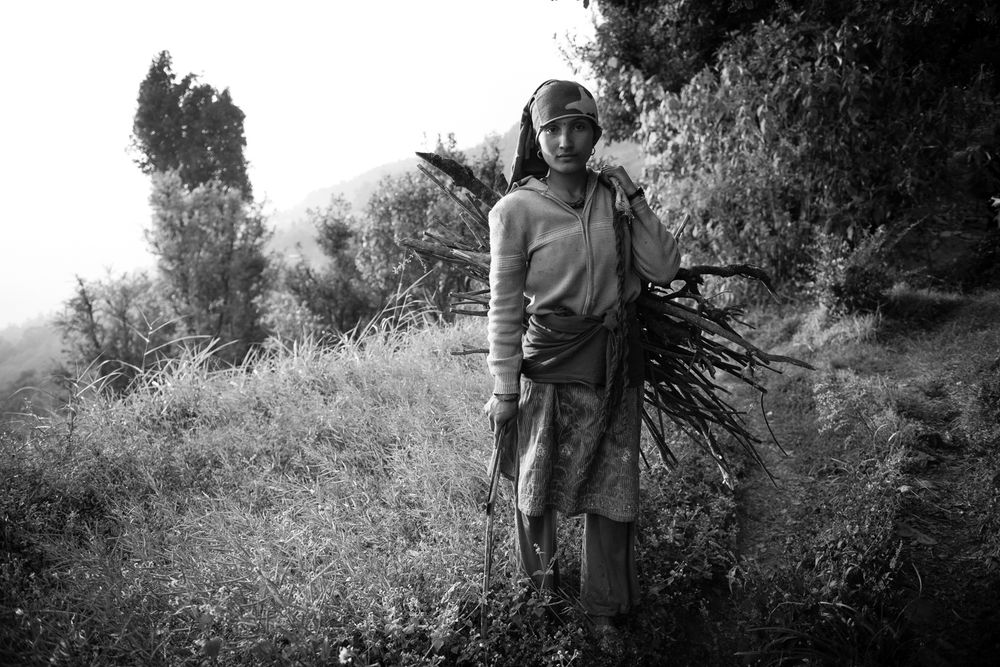 A young Nepali woman collects firewood after the 2015 earthquakes.