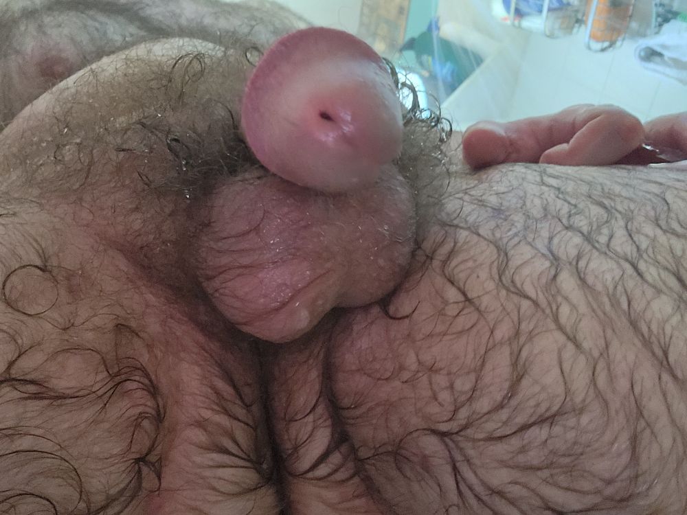 Picture of my crotch