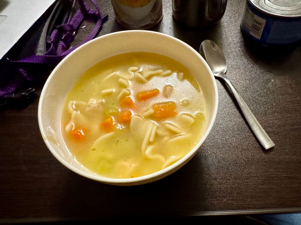 チキンヌードルスープ